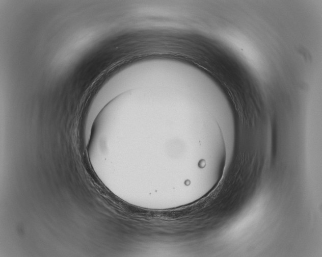 X0000111030387200908061440