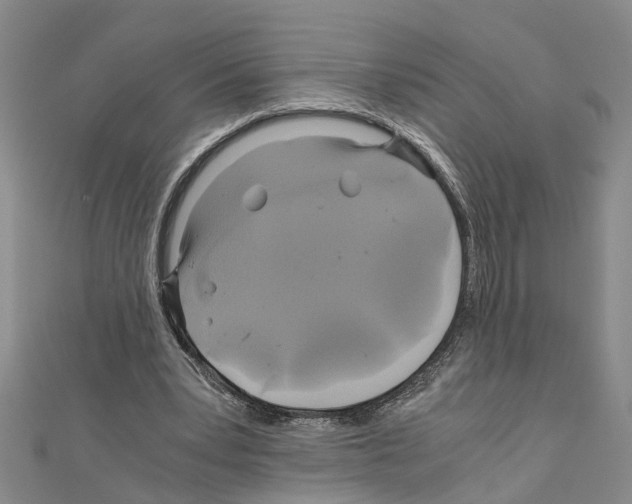 X0000111030391200908061440