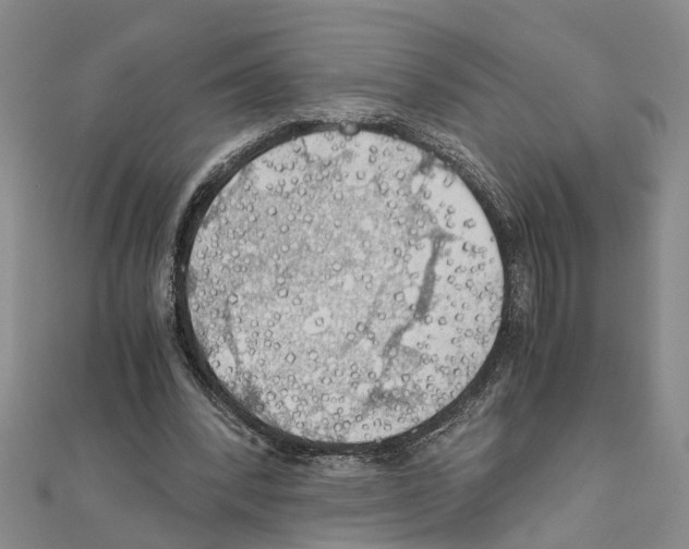 X0000111030392200908061440
