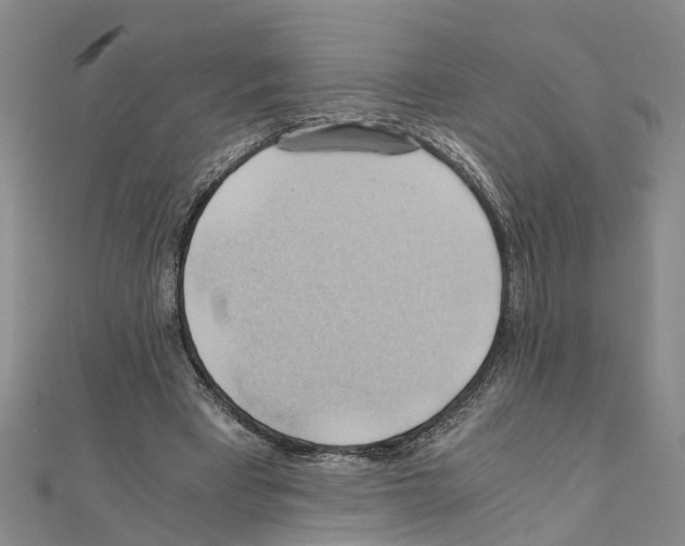 X0000111030393200908061440