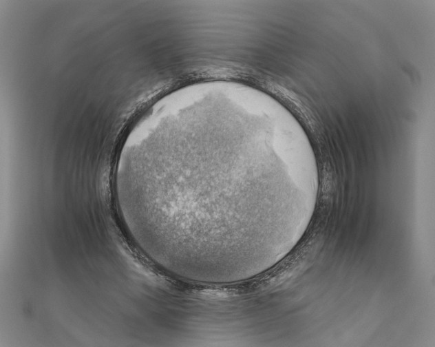 X0000111030394200908061440