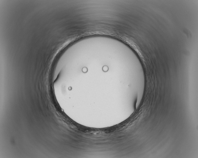 X0000111030395200908061440