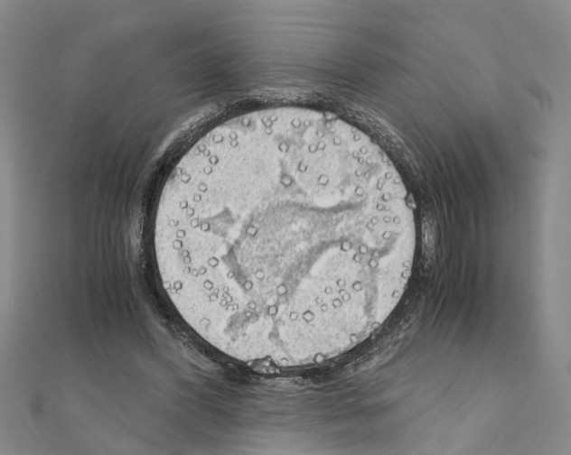 X0000111030396200908061440
