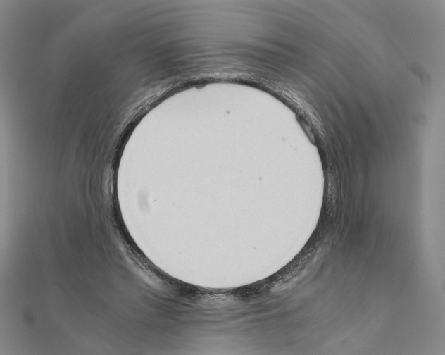 X0000111030397200908061440