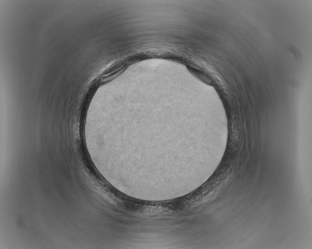 X0000111030399200908061440