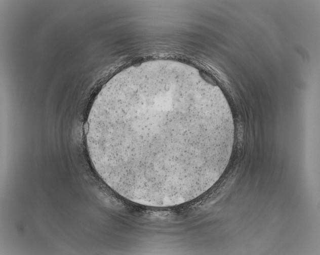 X0000111030401200908061440