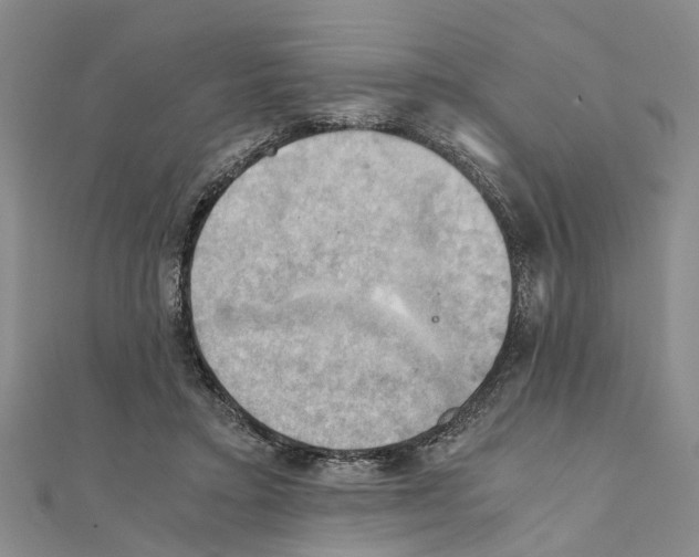 X0000111030403200908061440