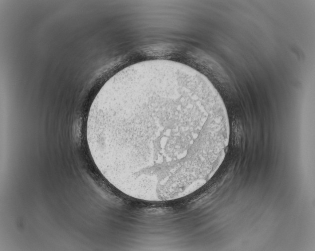 X0000111030404200908061440