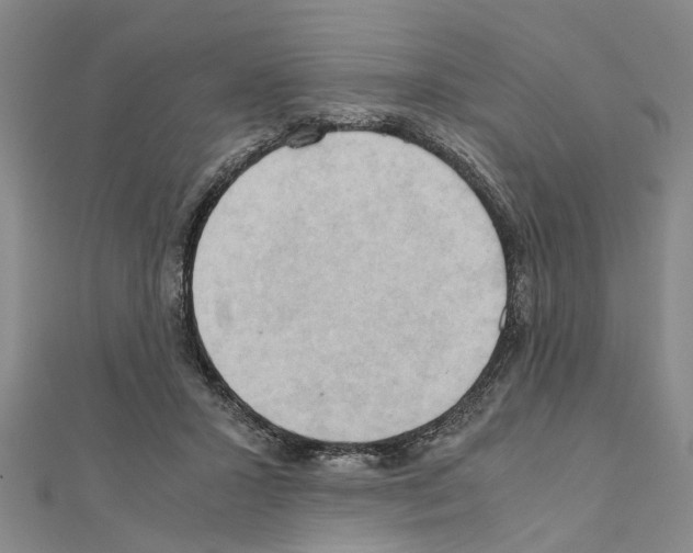 X0000111030407200908061440