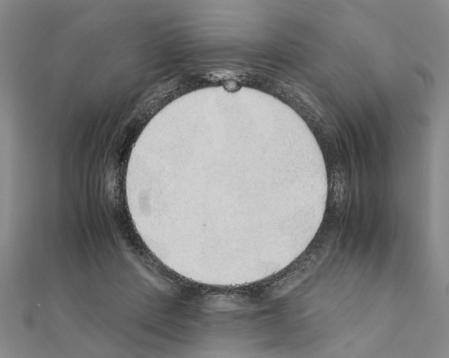 X0000111030408200908061440