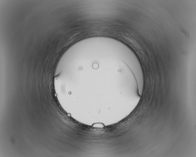 X0000111030409200908061440
