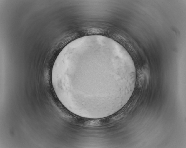 X0000111030410200908061440