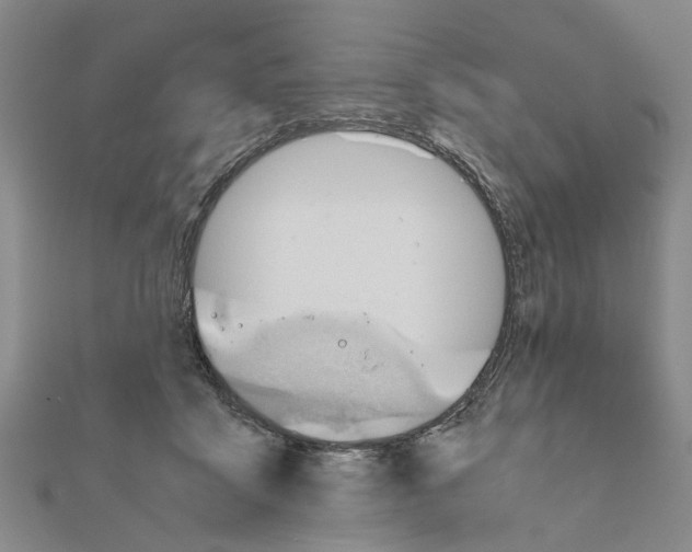 X0000111030411200908061440