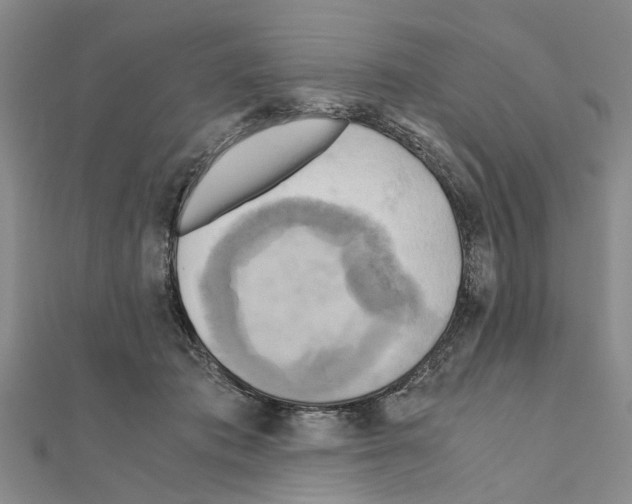 X0000111030413200908061440