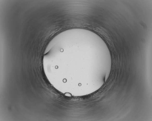 X0000111030415200908061440