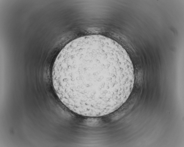 X0000111030418200908061440