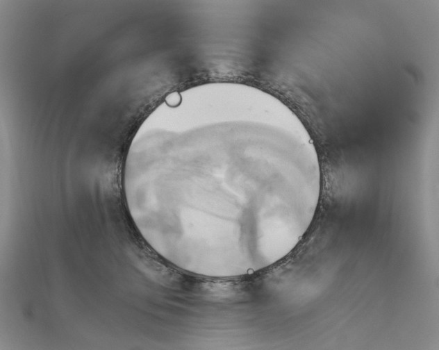 X0000111030419200908061440
