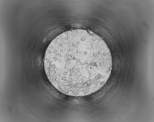 X0000111030420200908061440