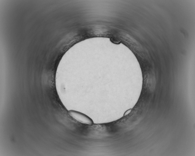 X0000111030421200908061440