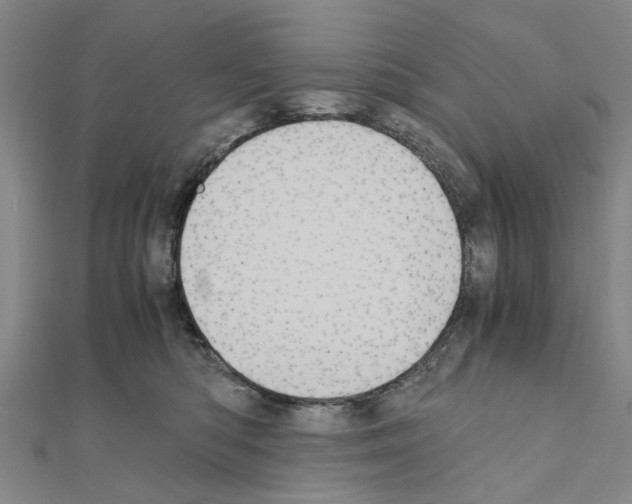 X0000111030422200908061440