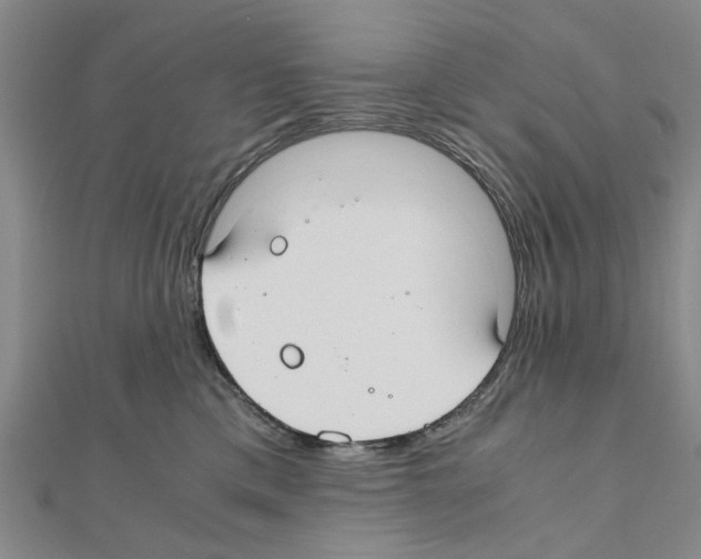 X0000111030425200908061440