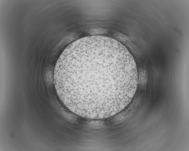 X0000111030426200908061440