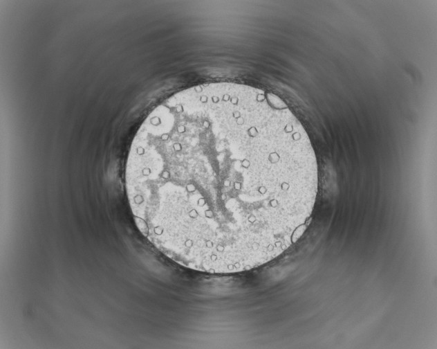 X0000111030428200908061440