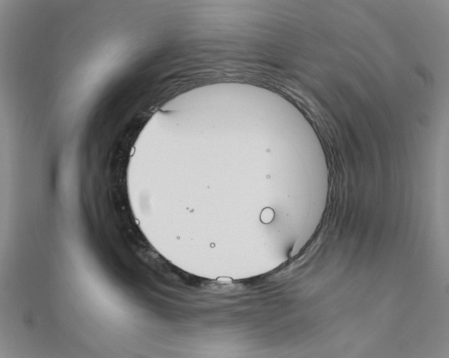 X0000111030429200908061440