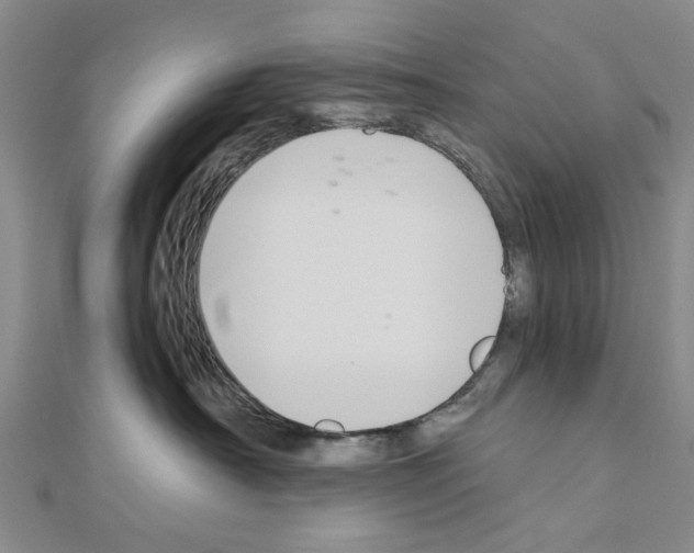 X0000111030430200908061440