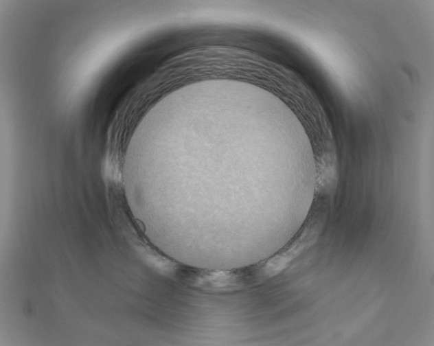 X0000111030431200908061440