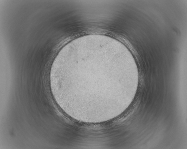 X0000111030433200908061439