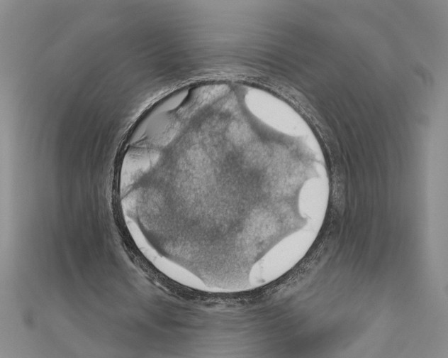 X0000111030434200908061439