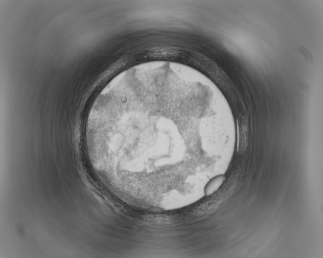 X0000111030435200908061439