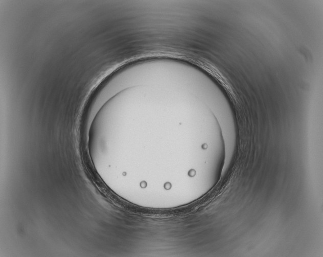 X0000111030436200908061439
