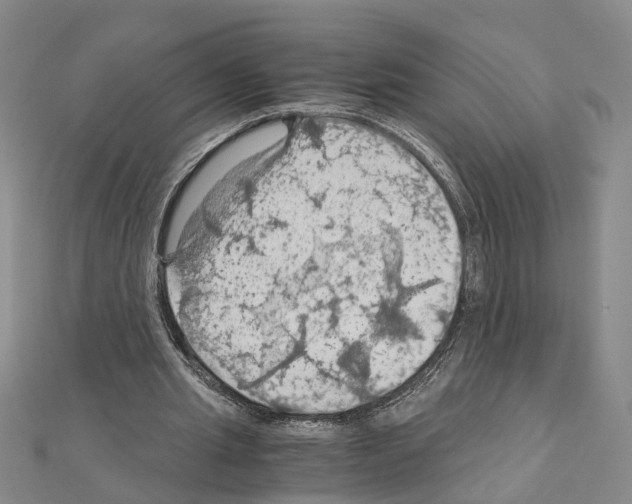 X0000111030437200908061439