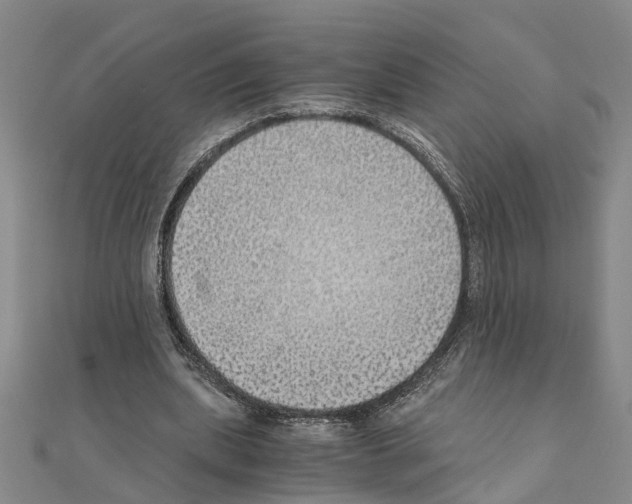 X0000111030439200908061439