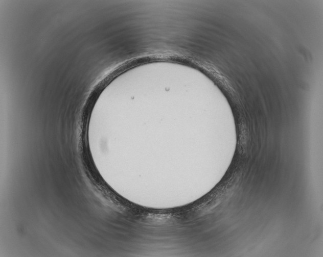 X0000111030440200908061439