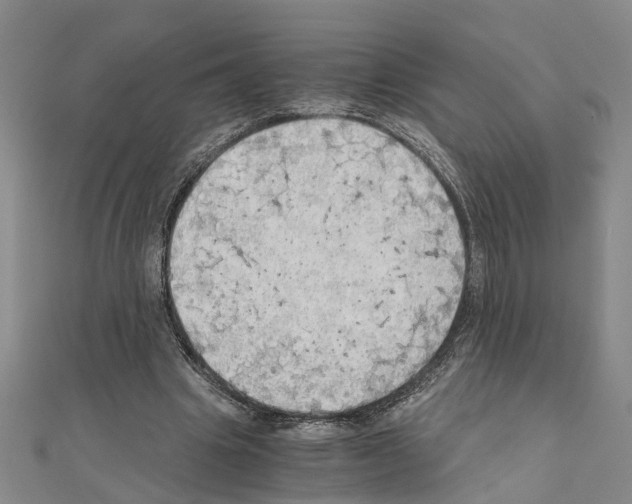 X0000111030441200908061439