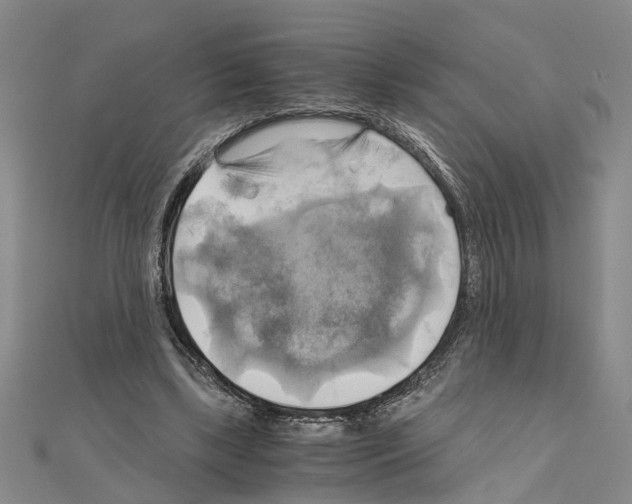 X0000111030443200908061439