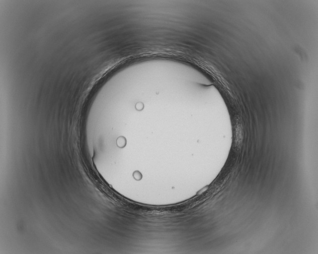 X0000111030444200908061439