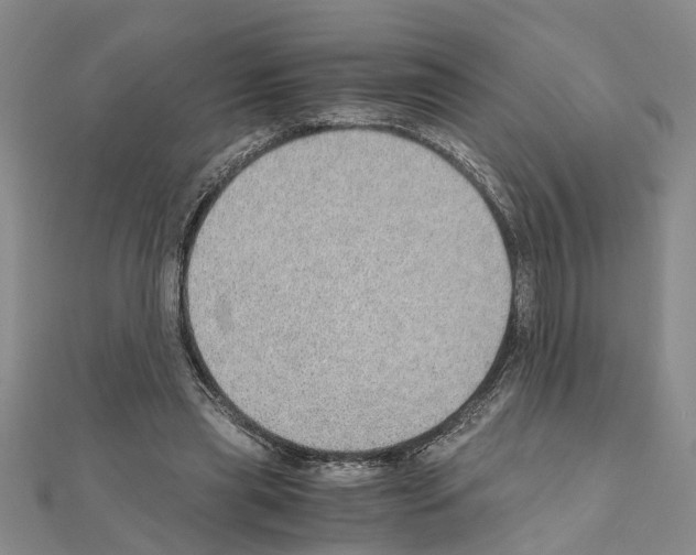 X0000111030445200908061439