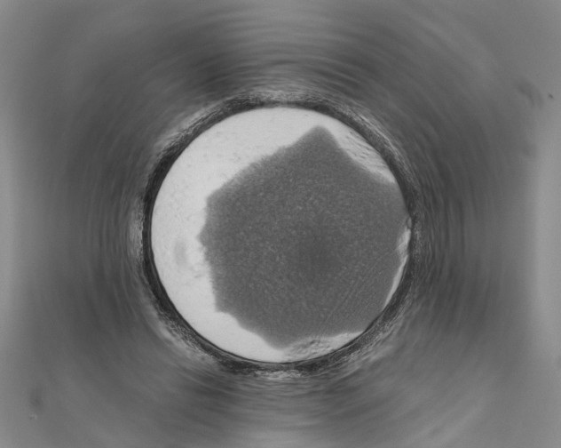 X0000111030446200908061439