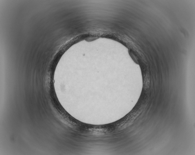 X0000111030448200908061439