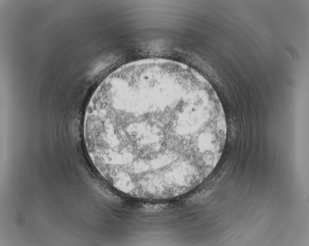 X0000111030450200908061439