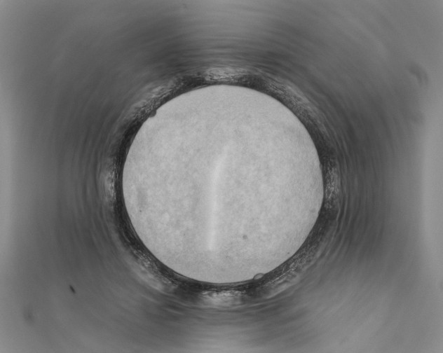 X0000111030452200908061439