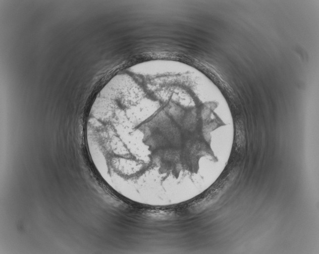 X0000111030453200908061439