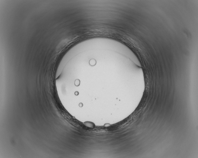 X0000111030456200908061439