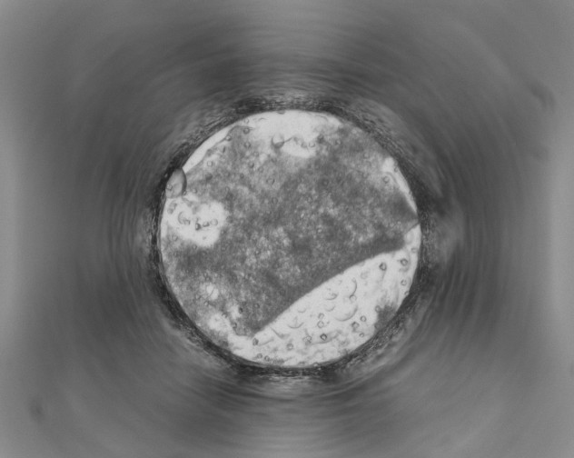 X0000111030458200908061439