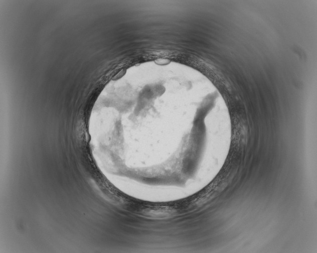 X0000111030459200908061439