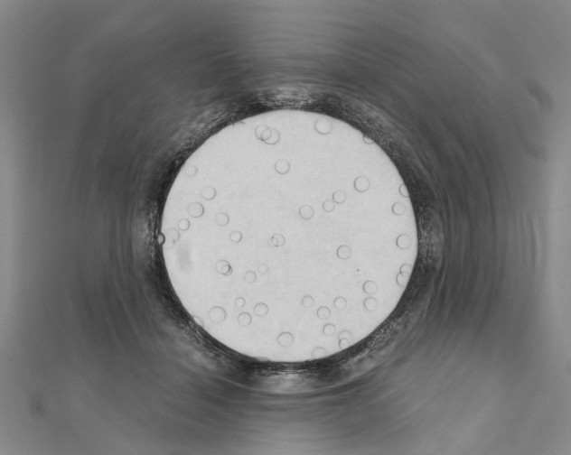 X0000111030460200908061439
